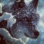 JasonBevis - @jason_bevis971 - Instagram