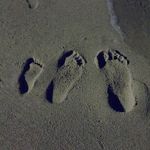 Jason Bice - @sbicy - Instagram