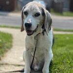 Jason Billington - @jasonbillington71 - Instagram