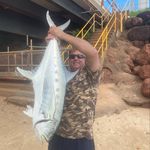 Jason Binnie - @jason.binnie.58 - Instagram