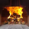 Jason Bissonnette - @jason.bissonnette3 - TikTok