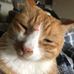 Jason Bittner - Facebook