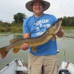 Jason Bitter - @lilbitwoodworking - Instagram