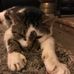 Jason Blakey - Facebook