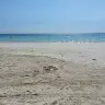 Jason Blaney - @jasonblaney26 - TikTok