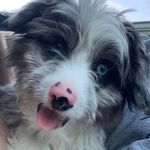 Jason Blohm - @theblohm - Instagram