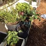 Jason Bloomer - @bloomer6503 - Instagram