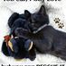 Jason Bloomer - Facebook