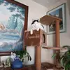 Jason Bloomer - @jason.bloomer - TikTok