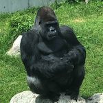Jason Bogart - @bogart4fam - Instagram