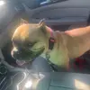 Jason - @jasonbogart1 - TikTok