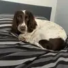 Jason Bogle296 - @jasonspriv - TikTok
