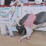 Jason Bogle - @jason.bogle - Instagram