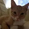 Jason Böhm - @jason.bhm4 - TikTok