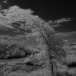 @jason_bohm_photography - Instagram