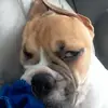 Jason Bone - @jason.bone30 - TikTok