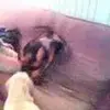 Jason Borst791 - @jasonborst5 - TikTok