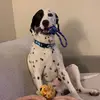 Jasonbotkin31j - @jasonbotkin32 - TikTok