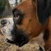 Jason Bottcher - Facebook