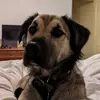 jasonbottomley17 - @jasonbottomley - TikTok