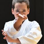 Jason Boulanger - @jasonkarate14 - Instagram