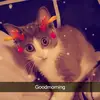 Jason Bourgeault - @jasonbourgeault4 - TikTok