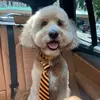 Jason Bourque - @jasonbourque0218 - TikTok
