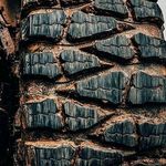 Jason - @jason.bowditch - Instagram