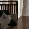 Jason Bowe - @jason.bowe - TikTok