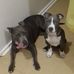 Kerine Jason Bruce Bowe - Facebook