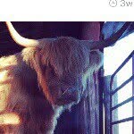 Jason Boyes - @werejust - Instagram