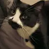 Jason Bracero - @jason.bracero7 - TikTok