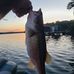 Jason Brackett - Facebook