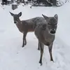 Jason Brain | ΙΑΣΩΝ - @jason.bra1n - TikTok