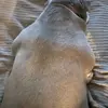 JasonBrams - @jasonbrams - TikTok