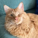Jason Brehm - @nimbats - Instagram