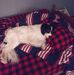 Jason Bretz - Facebook