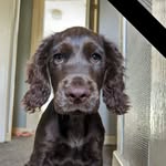 Jason Broad - @theknol69 - Instagram