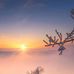Jason Brook - Facebook