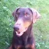 jasonbroome897 - @jasonbroome897 - TikTok
