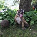 Jason Brumley - @brumleyj34 - Instagram