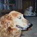 Jason Bruschi - Facebook