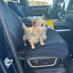 Jason Buckley - @jasonbuckleytilecompany - Instagram