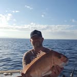 Jason Buis - @jason.buis1 - Instagram