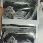 shannon murphy - @shannonx_jason_x_bump_x - Instagram