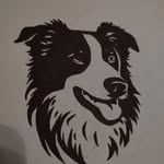 Jason Bungarz - @jason_bungarz - Instagram