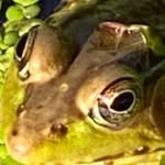 Jason - @jason_burner927649 - Instagram