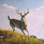 Jason Cade Egbert - @jasoncade.egbert - Instagram