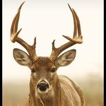 Jason Cady - @jason.cady.18 - Instagram