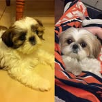 Jason Cancelliere - @jason_cancelliere - Instagram